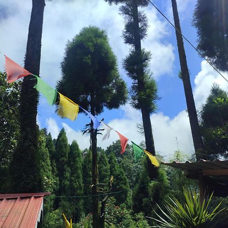 Shanti Samaya Home Stay Vl Ghoom Monastery, Samten Choeling ダージリン エクステリア 写真